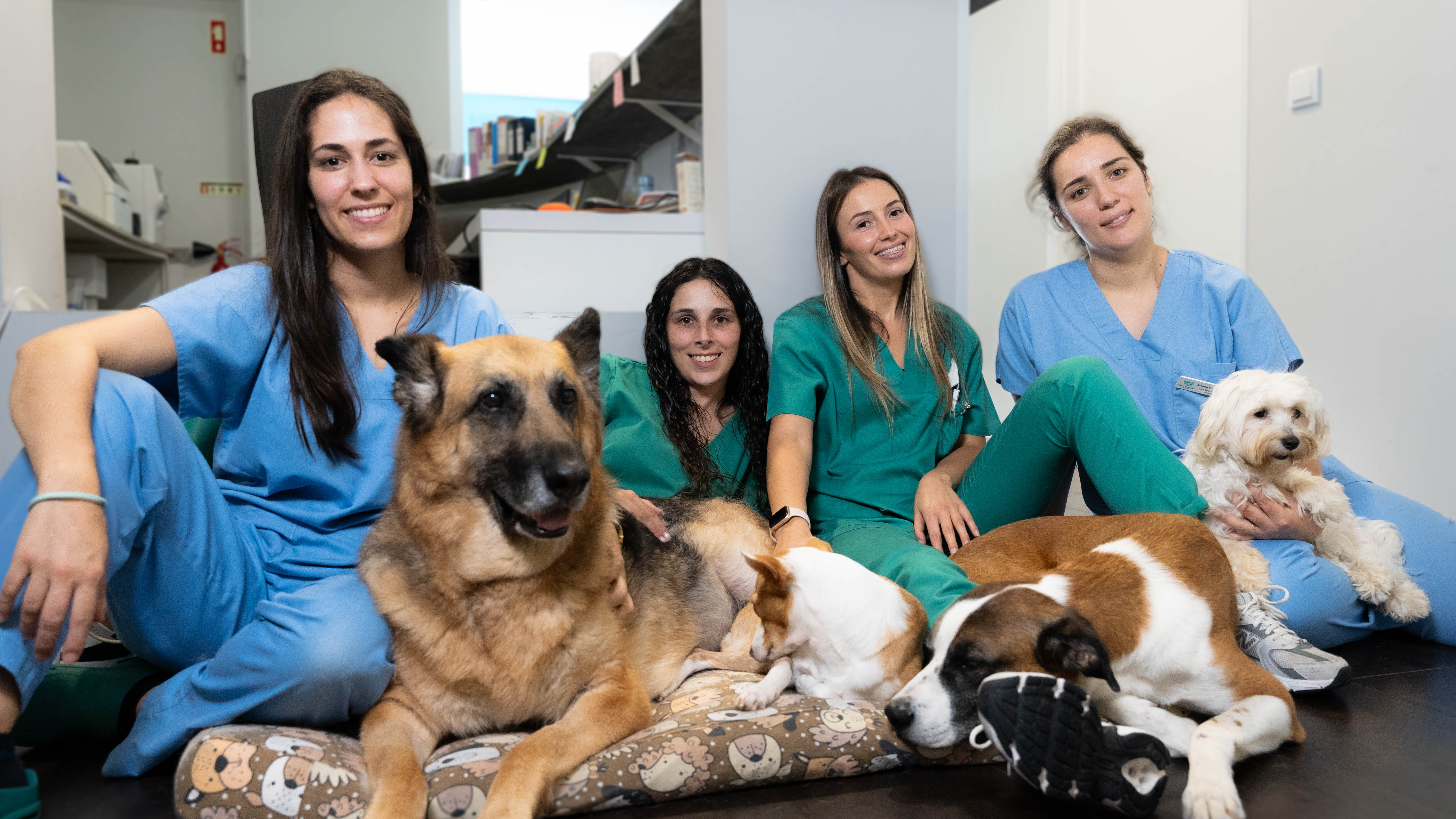 Equipa do Centro Veterinário do Lima